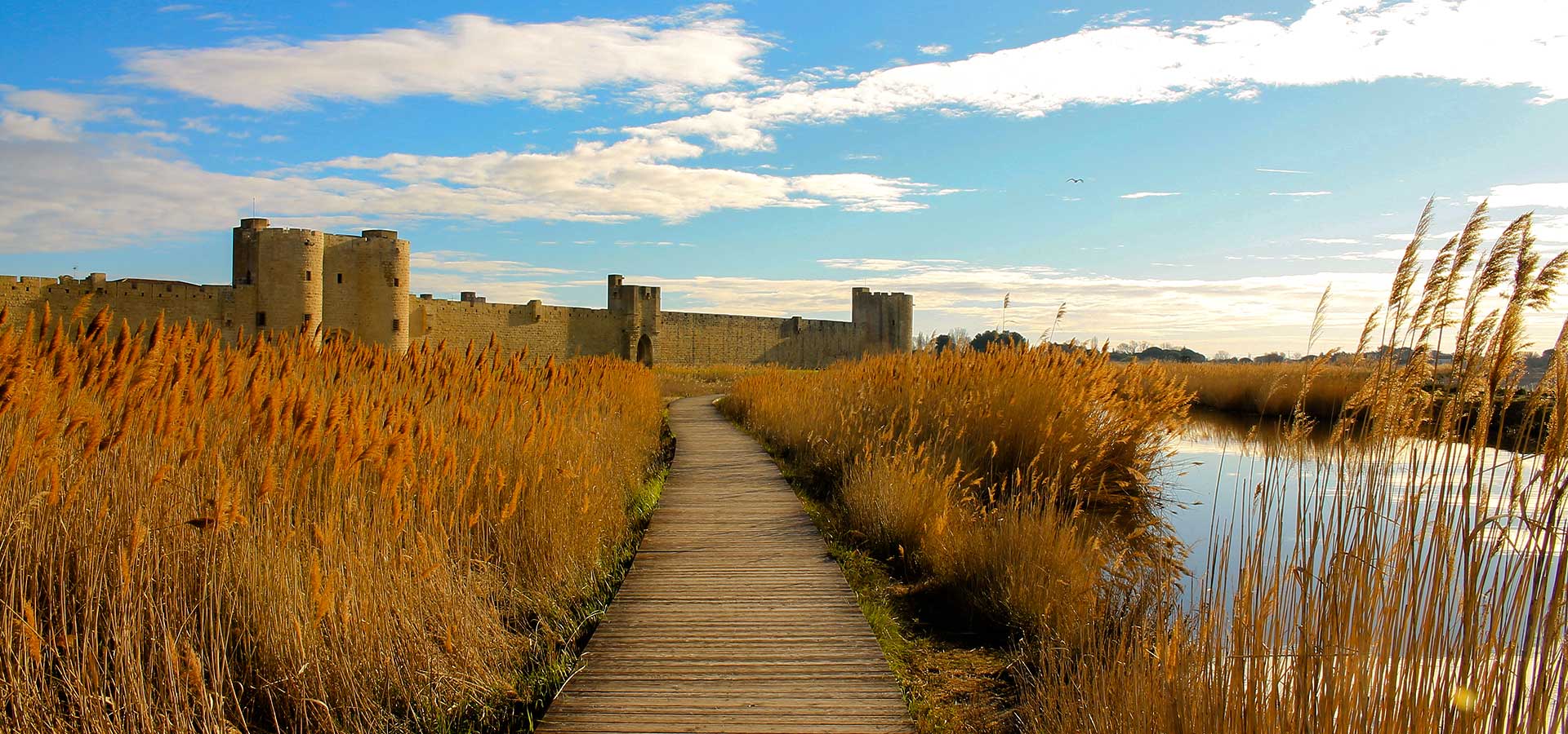 camargue aigues mortes