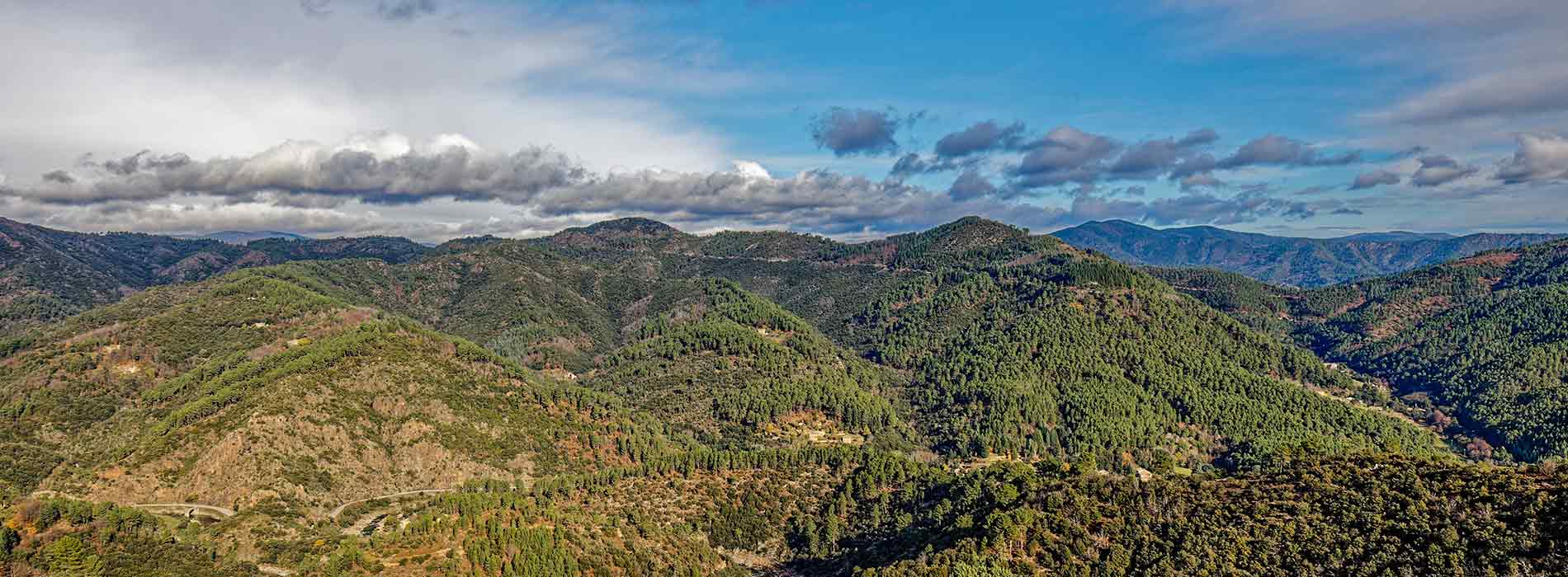 les cevennes