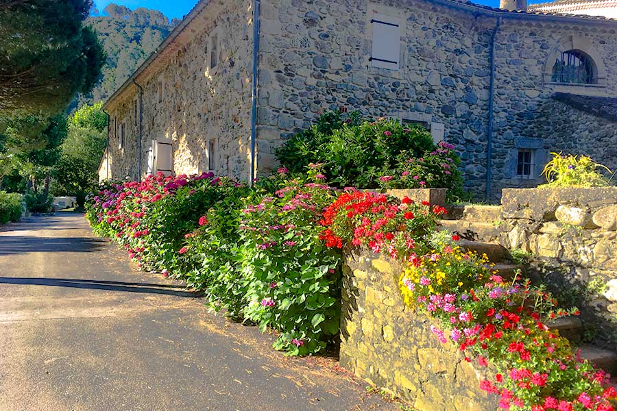 mas de la cam cevennes