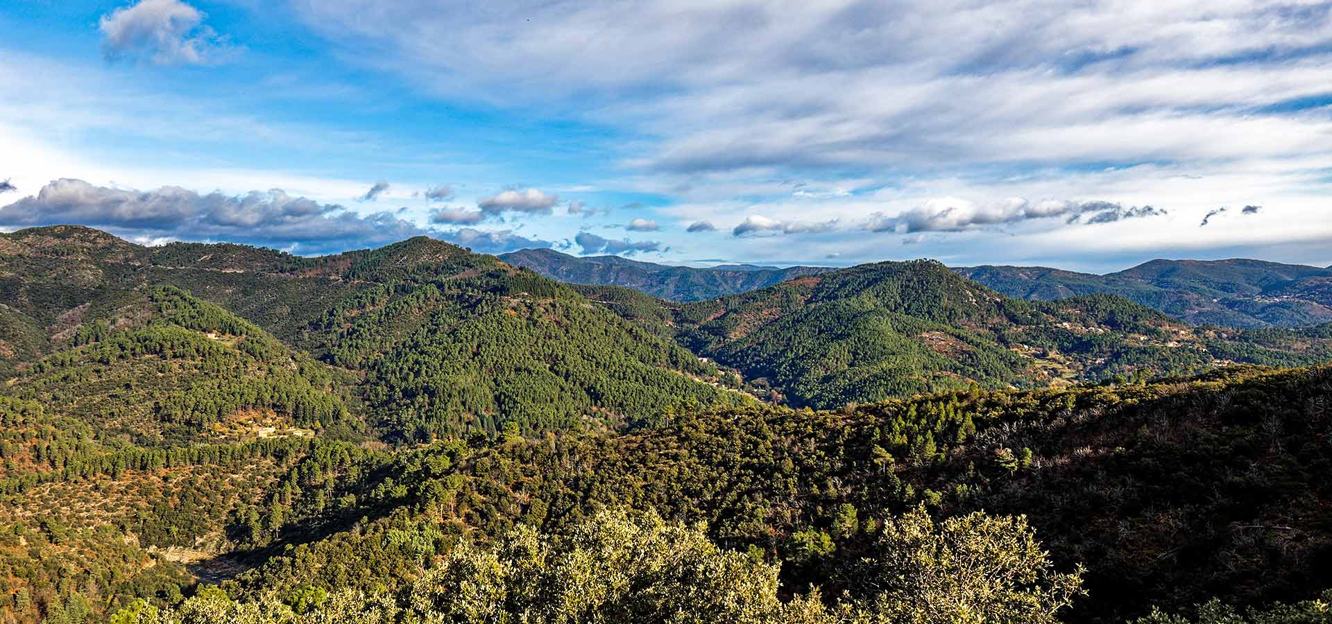 montagne cevennes