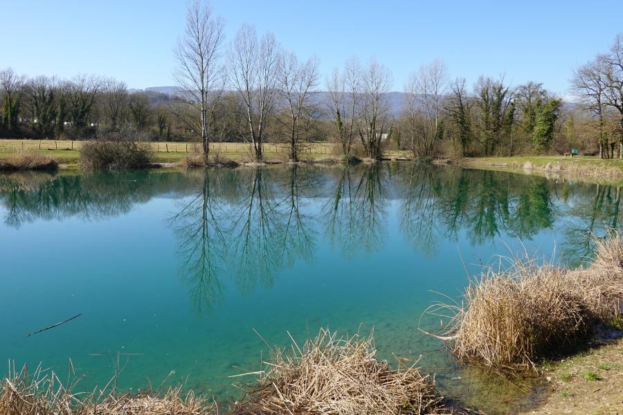 réserve du petit rhone