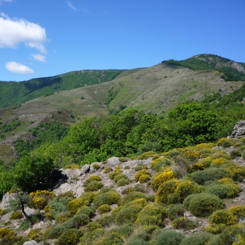 mont aigoual a vélo